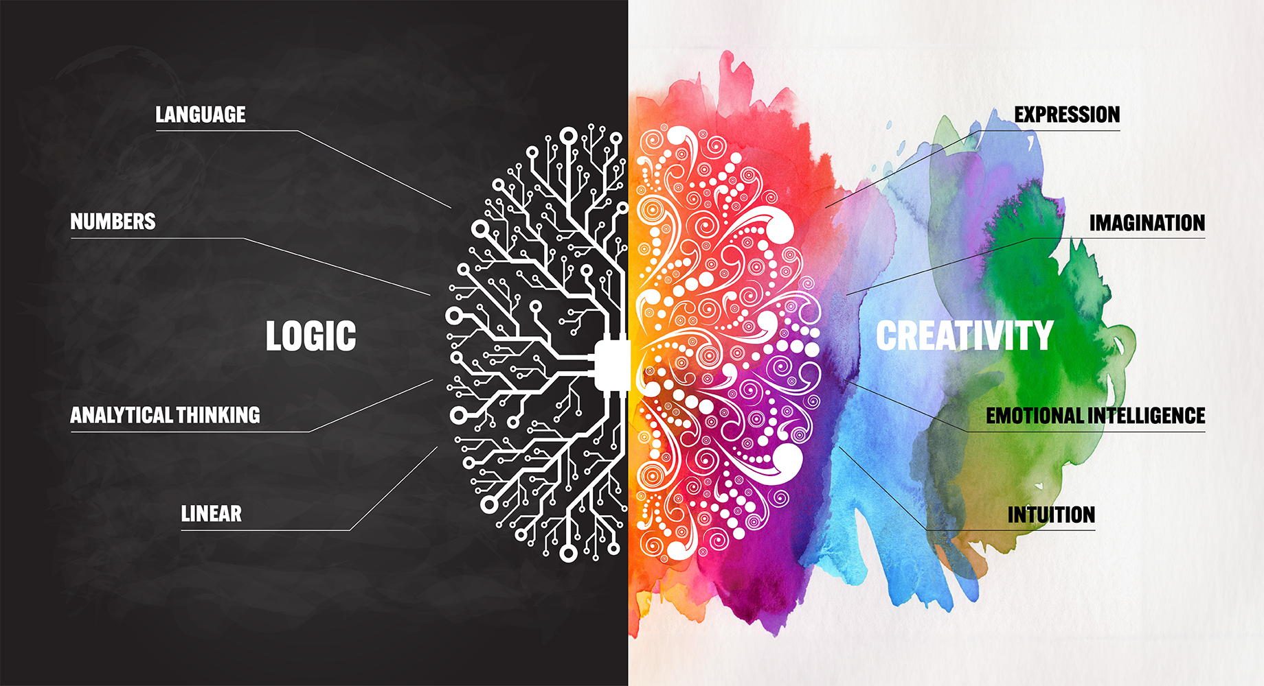 Right Brain vs. Left Brain